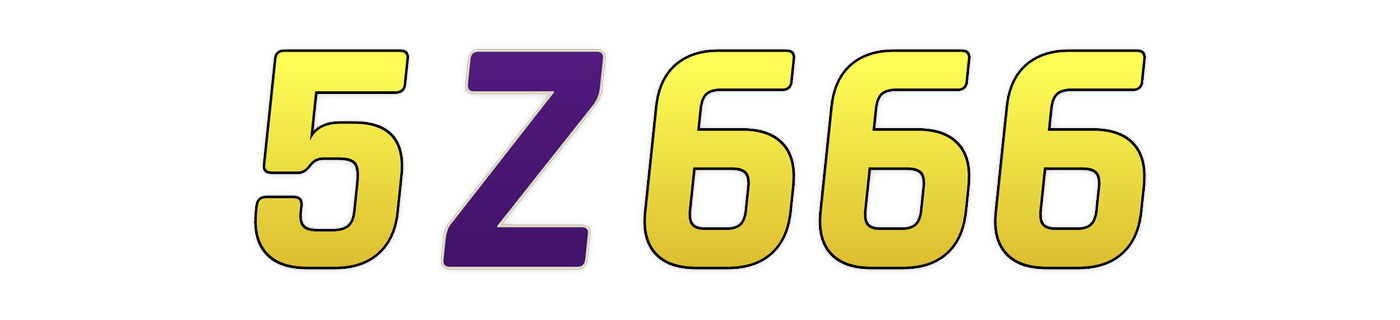 5z666